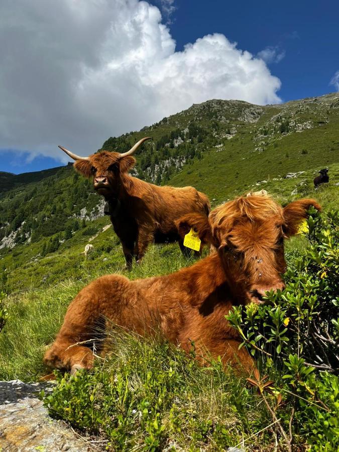 Die Acherberg Alm Ец Екстер'єр фото